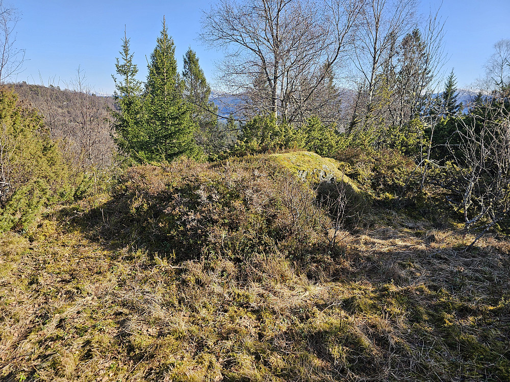 høyeste knausen på Smålandsfjellet 252