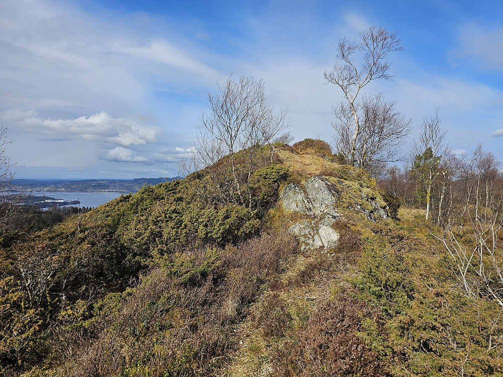 Storafjellet 323 her også med fin utsikt mot Åsane og Knarvik. 