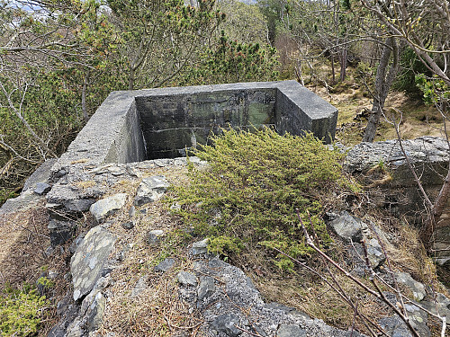 Nordre Signalen 52