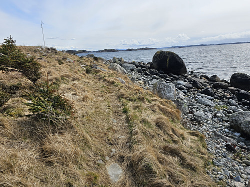 mot Vestre Fjøra