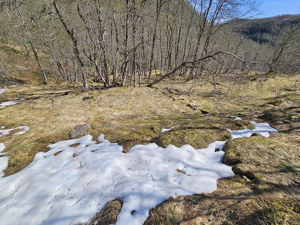 stølstuft 1 = måler ca. 4 x 6 meter. Her er det kun første lag med steiner som ligger igjen og er svakt synlig på bakken. Steinene til grunnmuren kan de ha flyttet ned til nye Dalsete.