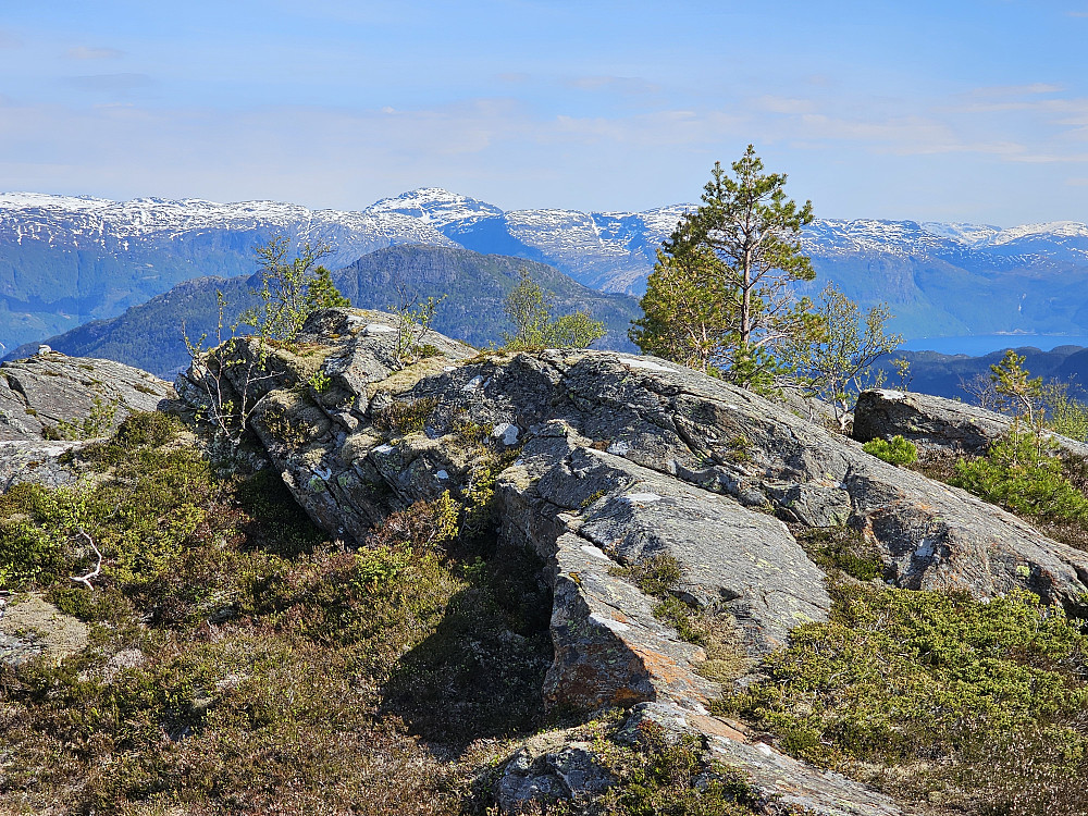 høyeste knausen men ikke PB knausen. Den ser vi helt til venstre med noen små steiner, bolt i fjell og trig.punkt 2m. lavere