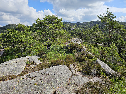 toppen på Litlemunken