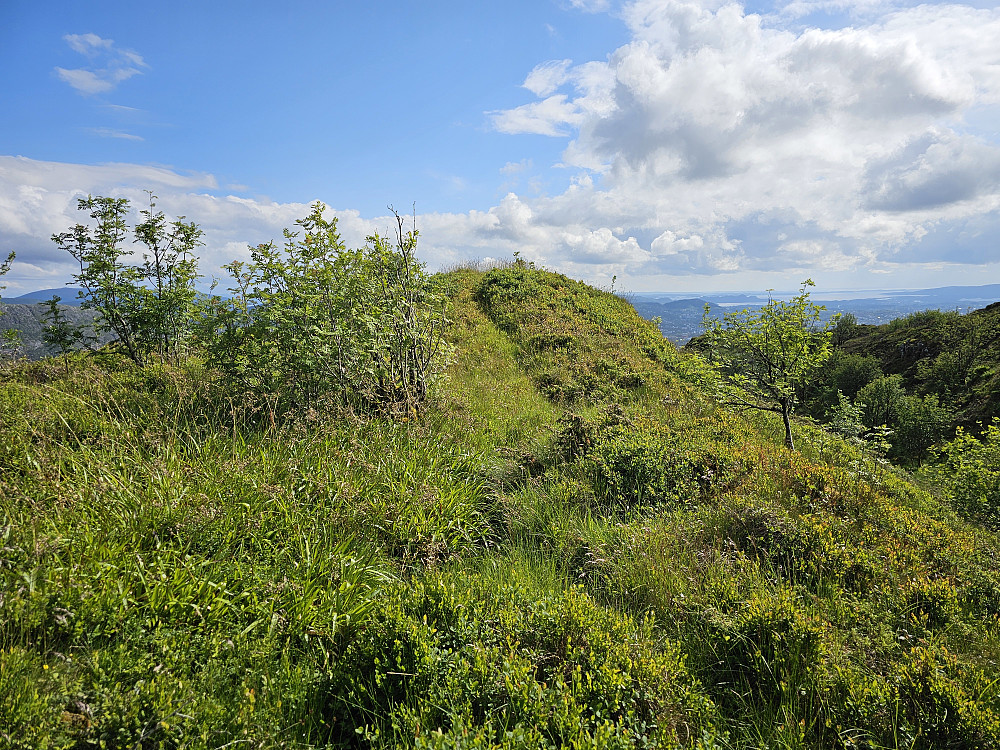 Landåsfjellet 428