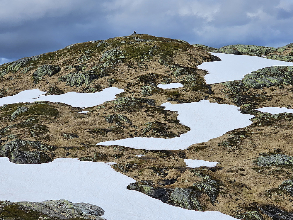 Gråfjellet 978