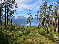 utsikt mot fjorden