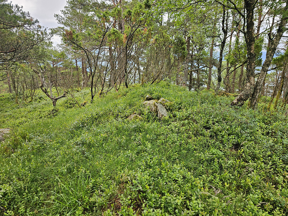 Jonåsen 456