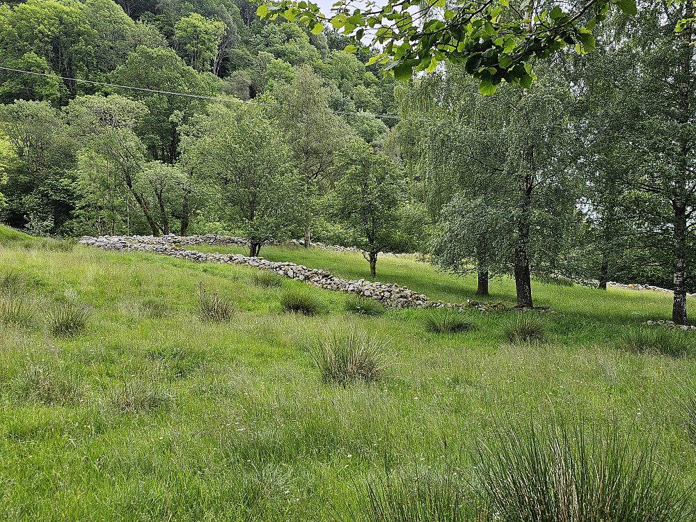 gamle Holmedal kyrkjegard