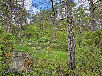opp ryggen i dårlig tur terreng 