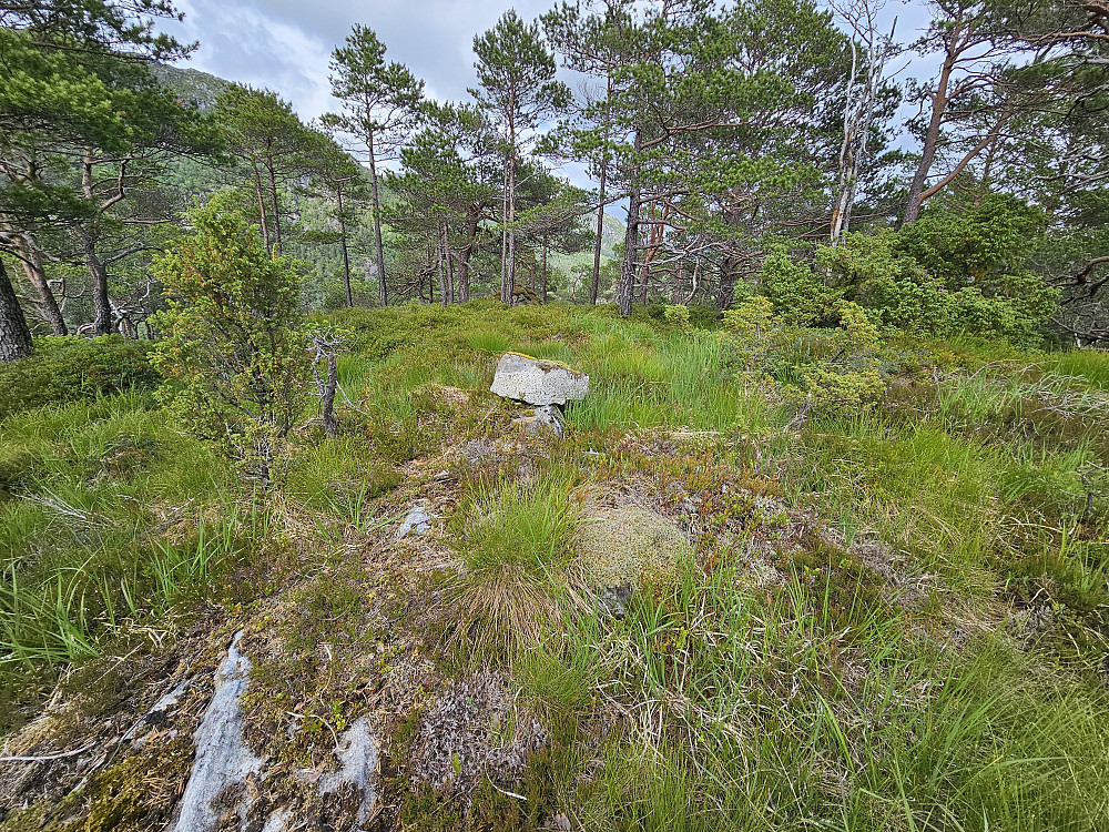 Kampestølsruta 420