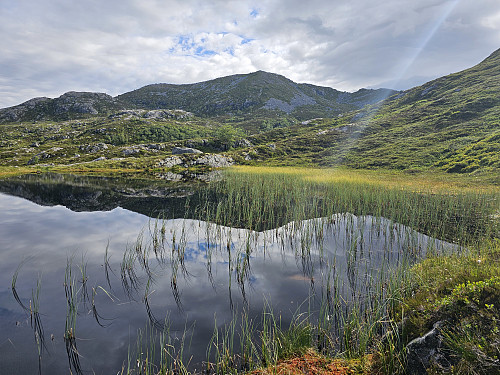 ved tjernet der jeg mistet stien