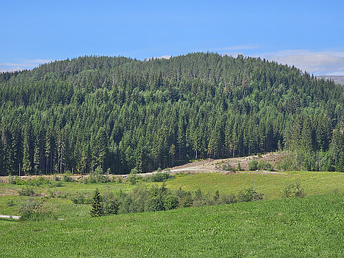 Andershovden sett fra grusveien til Grauaåsen