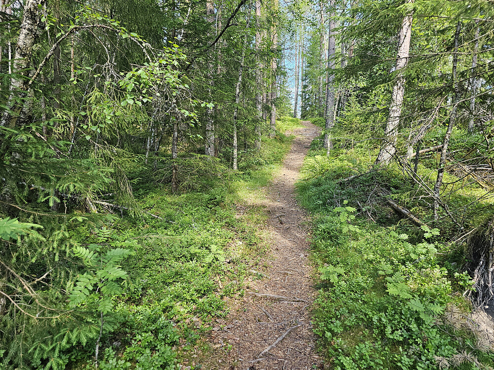 på stien merket til Rykke