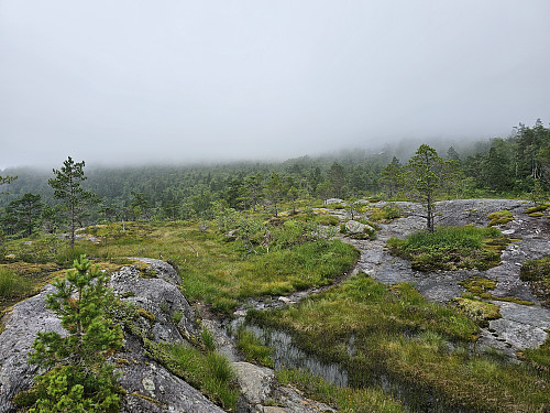 på vie opp i skylaget