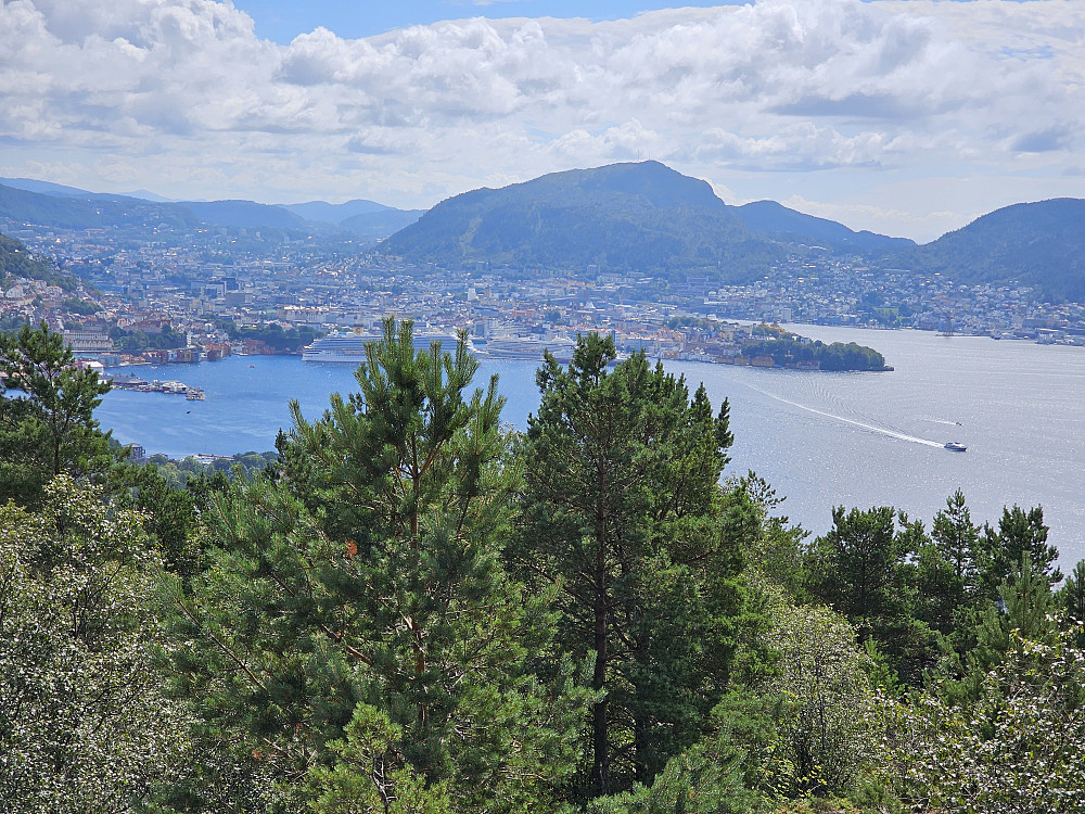 Bergen fra Ørneberget