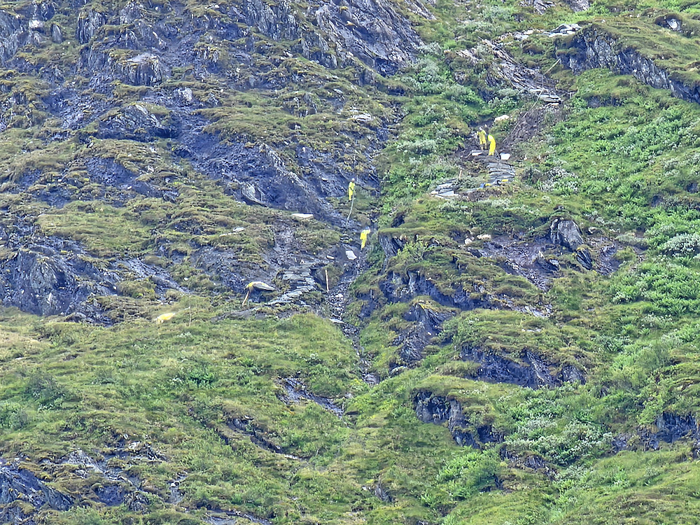 Sherpane i fult arbeid i bratthenget med bygging av Sherpa trappene, sommer-stien til Bruviknipa