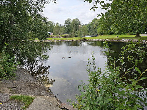 Frysja badeplass ved Hesteskoen