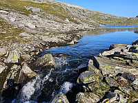 elveutløpet til Gavlavatnet