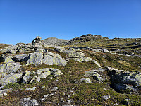 oppe på ryggen