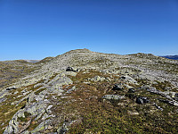fra punkt 1116 oppover ryggen