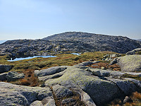 oppe på ryggen med toppen bak. 