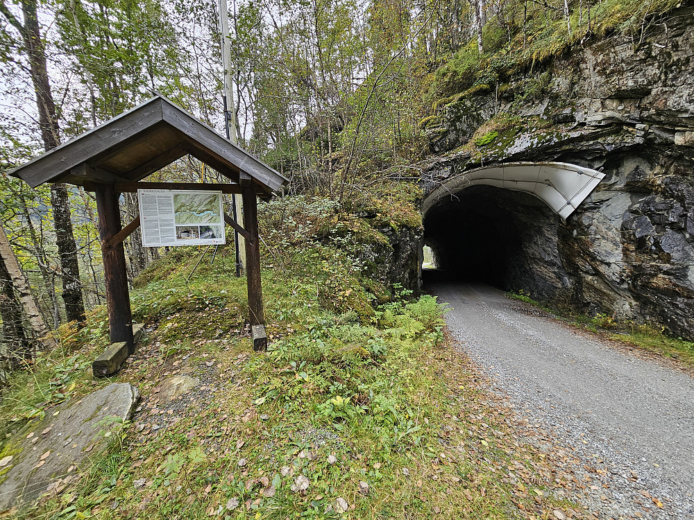 Storestigen