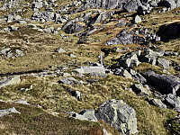 vanninntak i Storevassdalen 