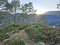 Halahaugane 