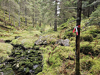 merket sti innover Tuftedalen