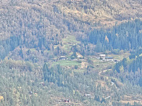 Geilane