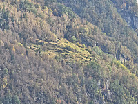 Bergstad