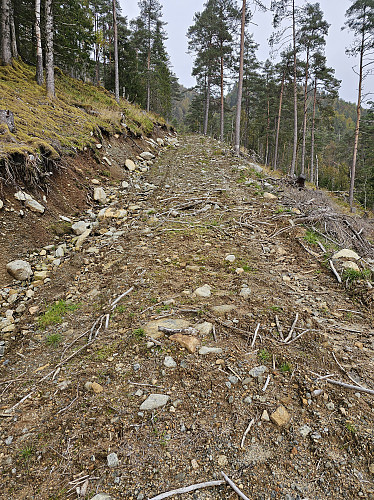 tur start opp traktorveien