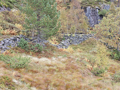 Hermundsdalsstølen ruin