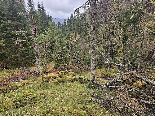 ned Høydalen