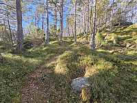 fin sti videre til toppen