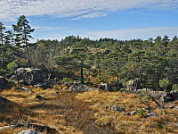 oppe på ryggen