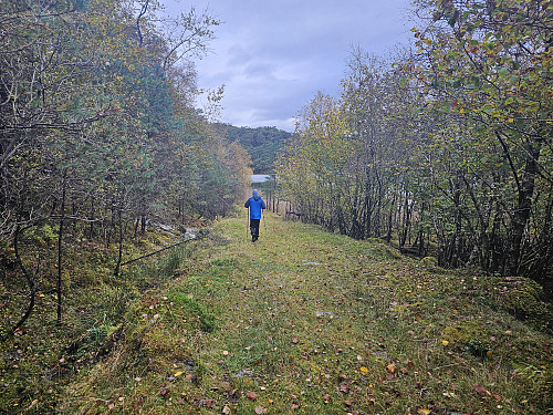 fin skogsvei