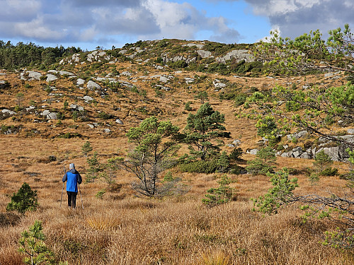 snart over myren, toppen i sikte