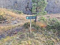 skiltet parkering