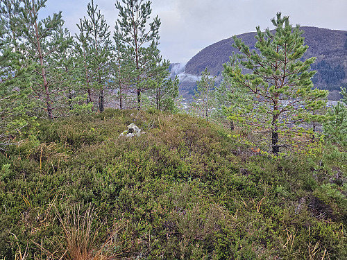 PB. toppen på Storenuvarden 