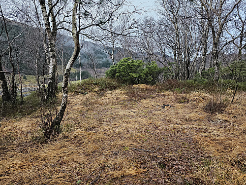 Litlenuvarden 
