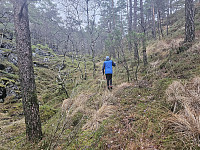 Petter på vei opp mot Steinsvatnet