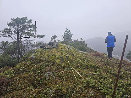 Steinsfjellet N.V. 371,3