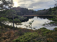 Træsvatnet