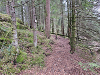 stien rundt Stubburdsdalen