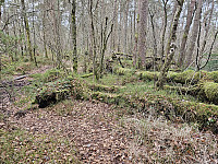 stien rundt Stubburdsdalen