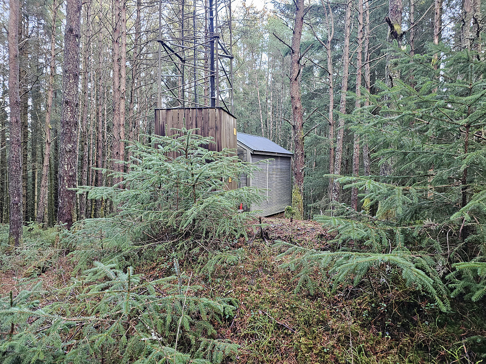 Hellestveitnova