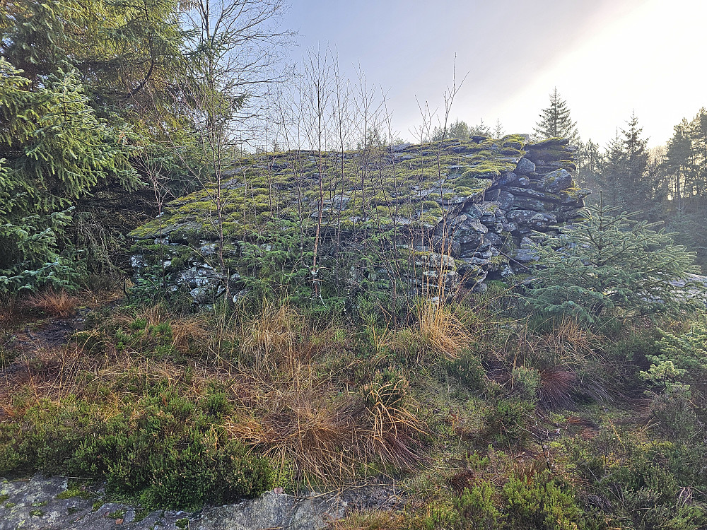 Hellestveitnøve torvhytte