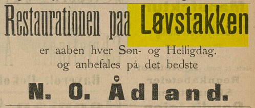 Arbeidet, lørdag 1. juni 1895