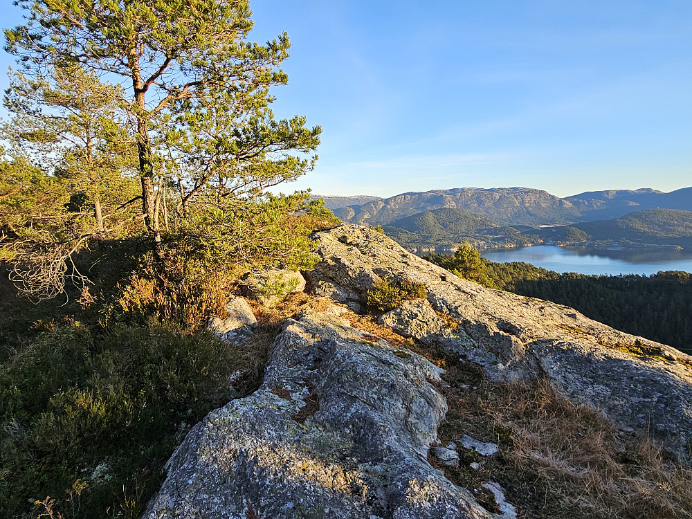 Dreng 278